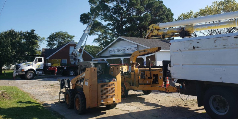 Emergency Tree Services in Fuquay-Varina, North Carolina