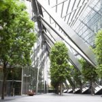 Commercial Tree Services in New Hill, North Carolina