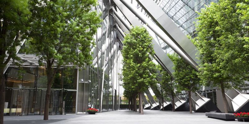 Commercial Tree Services in New Hill, North Carolina