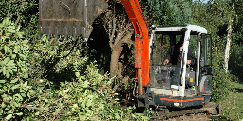 Fallen Tree Removal in Fuquay-Varina, North Carolina