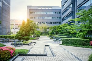 Commercial tree pruning can make sure needed trimming