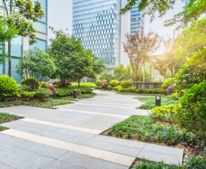 Boost Your Business By Maintaining Your Outdoor Space with Commercial Tree Services