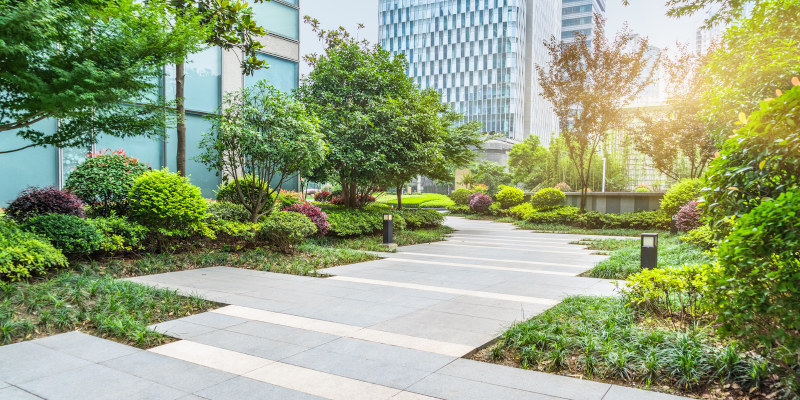 Boost Your Business By Maintaining Your Outdoor Space with Commercial Tree Services