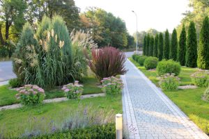 How Residential Tree Services Can Boost Your Property Value