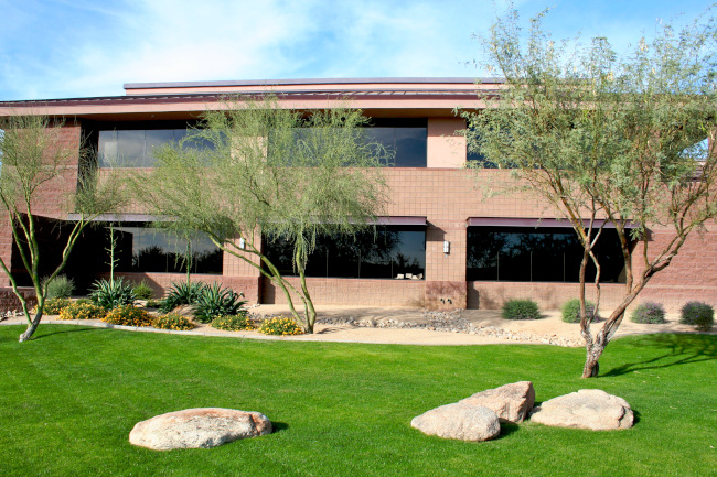 Commercial Tree Removal vs Transplanting: Which Is Best for Your Tree ...